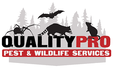 QualityPro Pest & Wildlife Services
