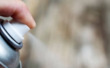 DIY Pest Control vs. Professional Services: What Really Works? Photo