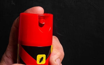 Why DIY Pest Control Often Fails (and When to Call a Professional) Photo