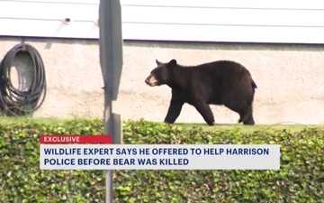Wildlife Expert Releases Recording of Himself Offering to Help Tranquilize West Harrison Bear Before It Was Killed Photo Wildlife Expert Releases Recording of Himself Offering to Help Tranquilize West Harrison Bear Before It Was Killed Photo