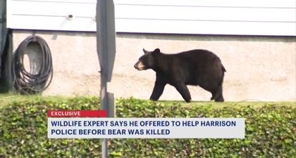 Wildlife Expert Releases Recording of Himself Offering to Help Tranquilize West Harrison Bear Before It Was Killed Photo Wildlife Expert Releases Recording of Himself Offering to Help Tranquilize West Harrison Bear Before It Was Killed Photo