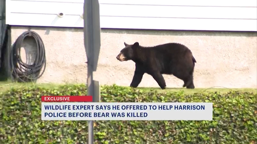 In the news