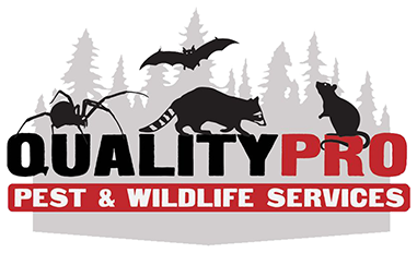 QualityPro Pest & Wildlife Services